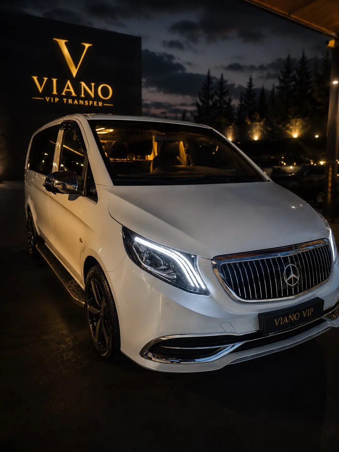 Mercedes Vito VIP